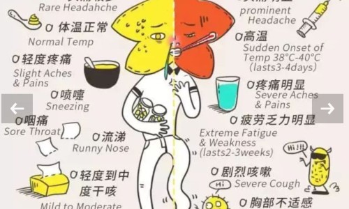姨妈期间喝蜂蜜-月经期间蜂蜜好喝的吧网—知名的例假期喝蜂蜜水好吗网站,分享月经期喝蜂蜜水的作用与功效知识